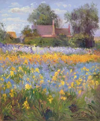 De omheinde huisjes in het irisbloemenveld